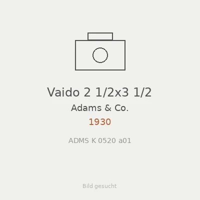 Vaido 2 1/2x3 1/2