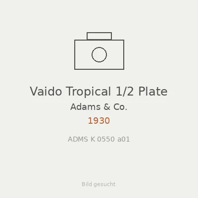 Vaido Tropical 1/2 Plate