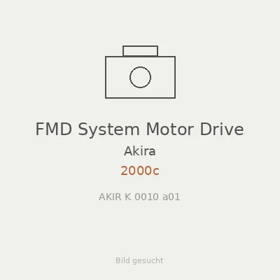 FMD System Motor Drive
