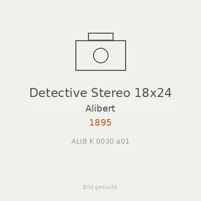 Detective Stereo 18x24