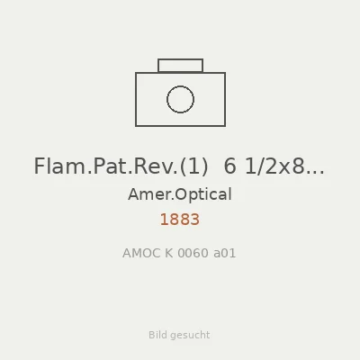 Flam.Pat.Rev.(1)  6 1/2x8 1/2
