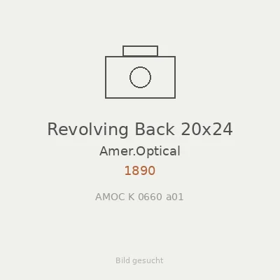 Revolving Back 20x24