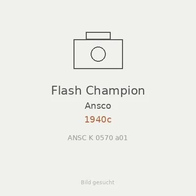 Flash Champion