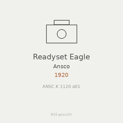 Readyset Eagle
