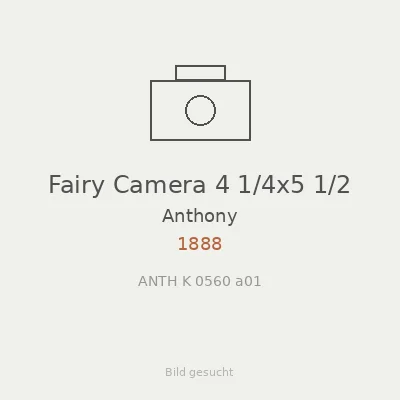Fairy Camera 4 1/4x5 1/2