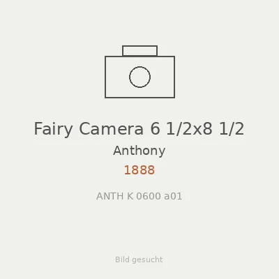 Fairy Camera 6 1/2x8 1/2