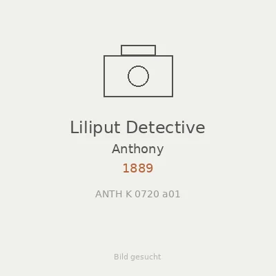 Liliput Detective
