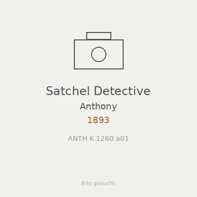 Satchel Detective