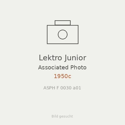 Lektro Junior
