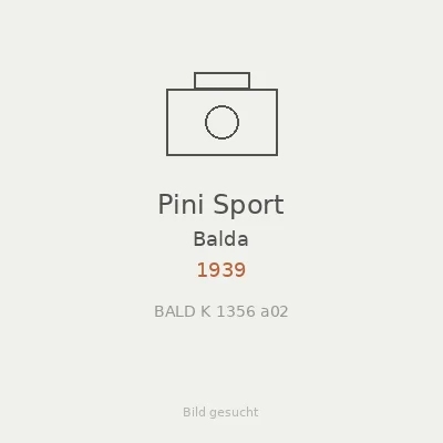 Pini Sport