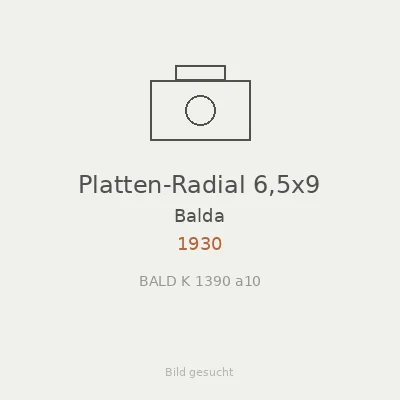 Platten-Radial 6,5x9