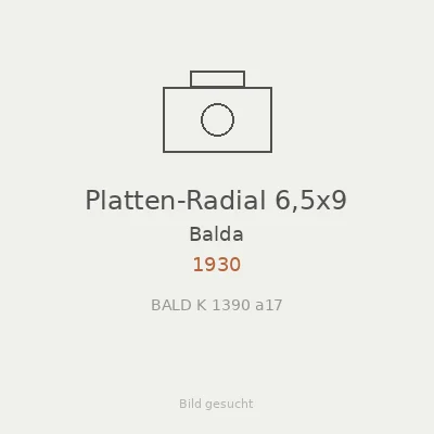 Platten-Radial 6,5x9