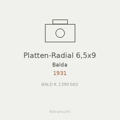 Platten-Radial 6,5x9