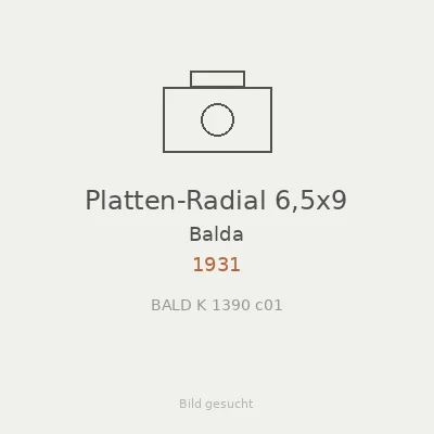 Platten-Radial 6,5x9