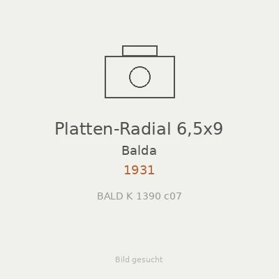 Platten-Radial 6,5x9