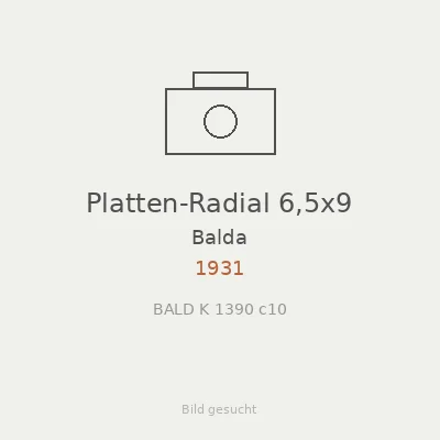 Platten-Radial 6,5x9