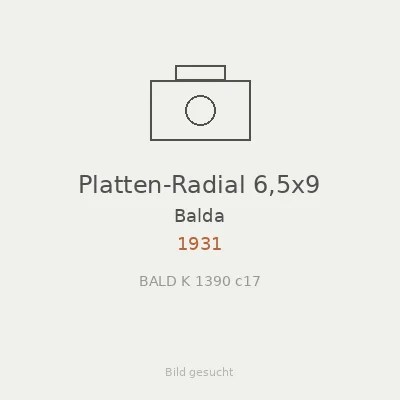 Platten-Radial 6,5x9