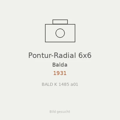 Pontur-Radial 6x6