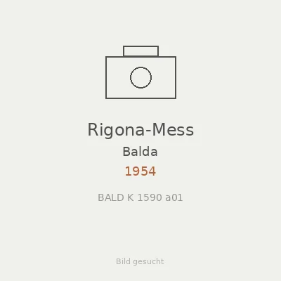 Rigona-Mess