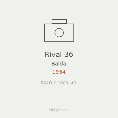 Rival 36