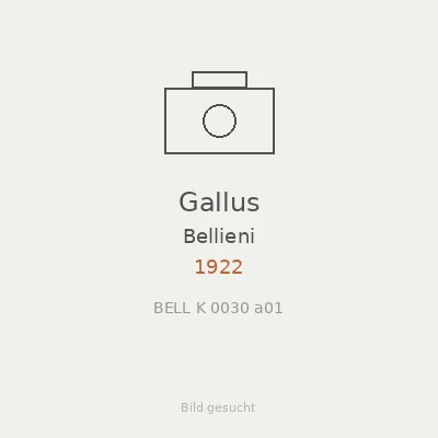 Gallus