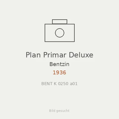 Plan Primar Deluxe