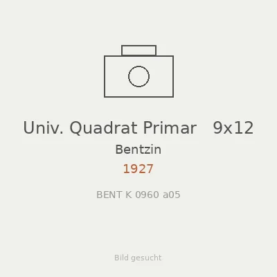 Univ. Quadrat Primar   9x12