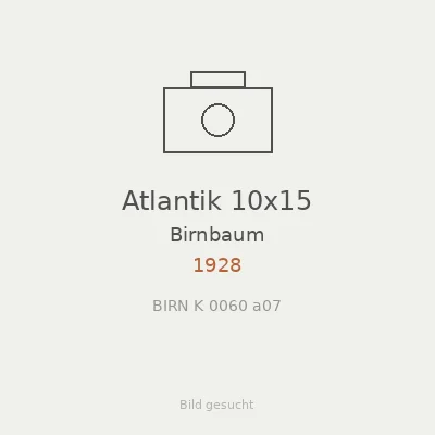 Atlantik 10x15
