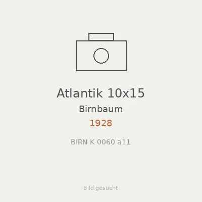 Atlantik 10x15