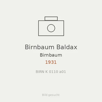 Birnbaum Baldax
