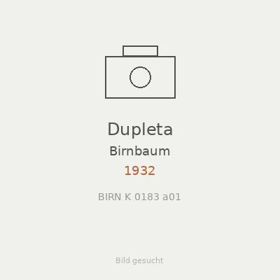 Dupleta