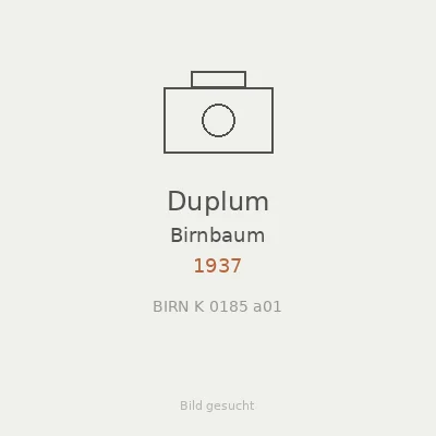 Duplum
