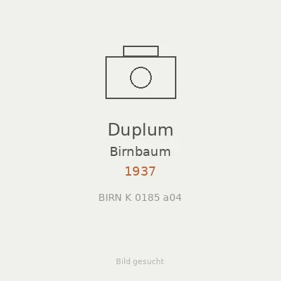 Duplum
