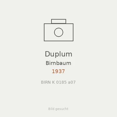 Duplum