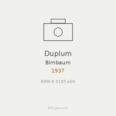 Duplum