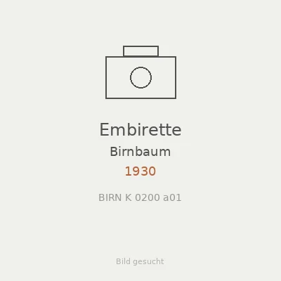 Embirette