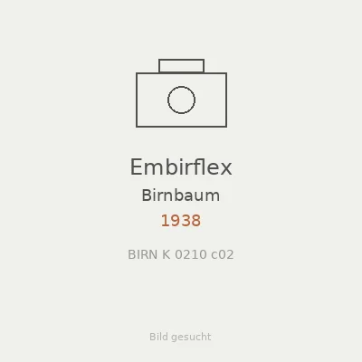 Embirflex