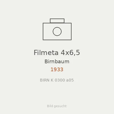 Filmeta 4x6,5