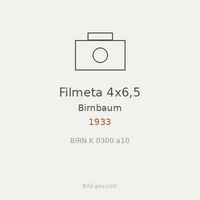Filmeta 4x6,5