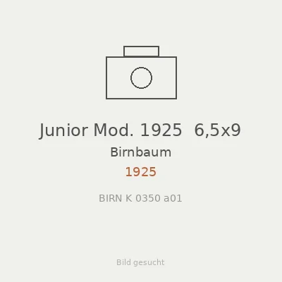 Junior Mod. 1925  6,5x9