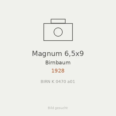Magnum 6,5x9