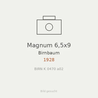 Magnum 6,5x9