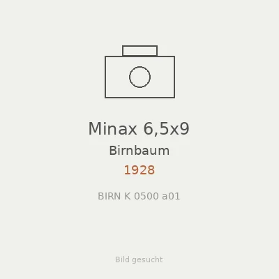 Minax 6,5x9