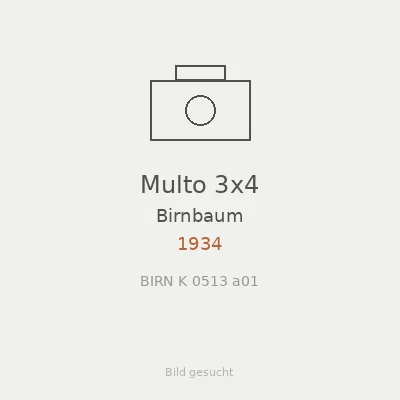Multo 3x4