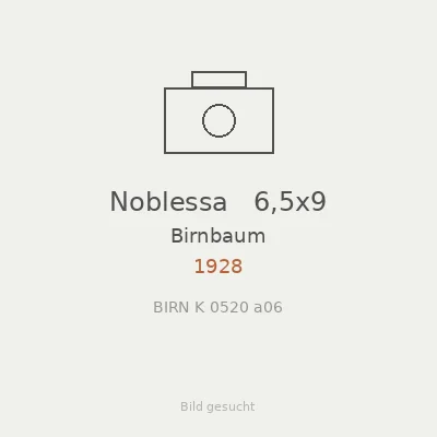Noblessa   6,5x9