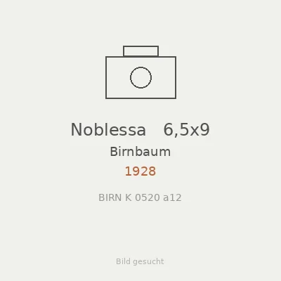 Noblessa   6,5x9