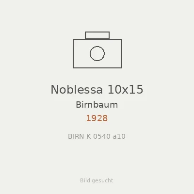 Noblessa 10x15