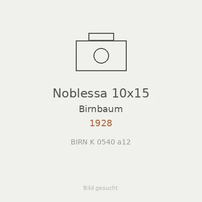 Noblessa 10x15