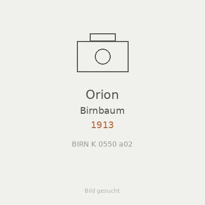 Orion