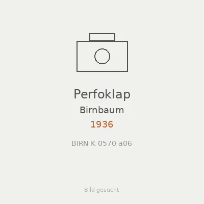 Perfoklap